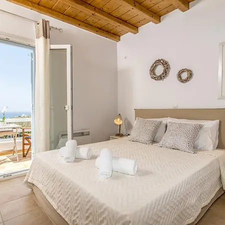 فيلة باراديسيا *