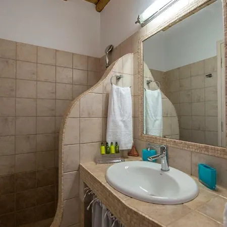 باراديسيا فيلة *