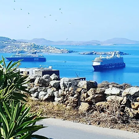 فيلة باراديسيا تورلوس