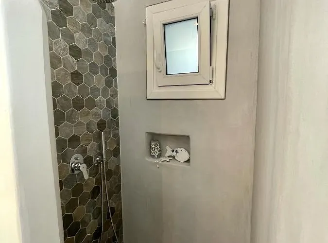 فيلة باراديسيا