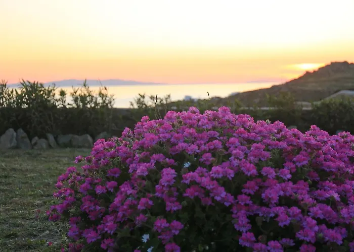 Paradisia Вилла *