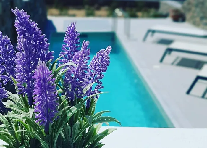 Paradisia Вилла