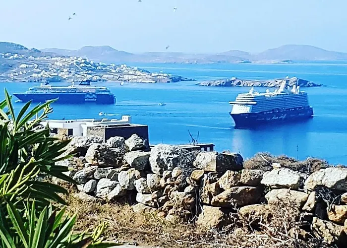 فيلة باراديسيا تورلوس