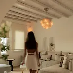 Willa Paradisia